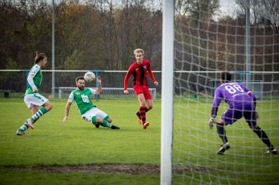 Seniorzy - Kotwica Kórnik