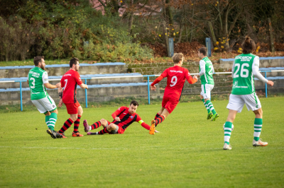 Seniorzy - Kotwica Kórnik