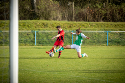 Seniorzy - Kotwica Kórnik