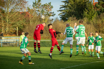 Seniorzy - Kotwica Kórnik