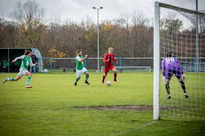 Seniorzy - Kotwica Kórnik