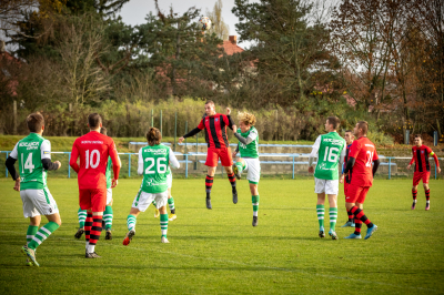 Seniorzy - Kotwica Kórnik