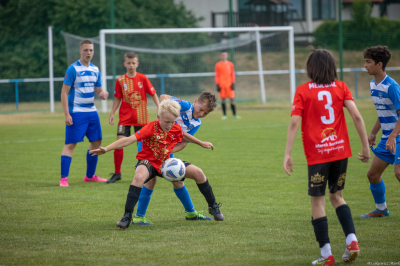 Trampkarz C2 - Meblorz Swarzędz