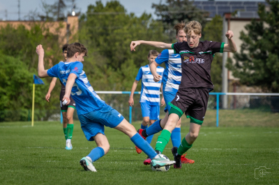 Trampkarze C1 - Steico Czarnków