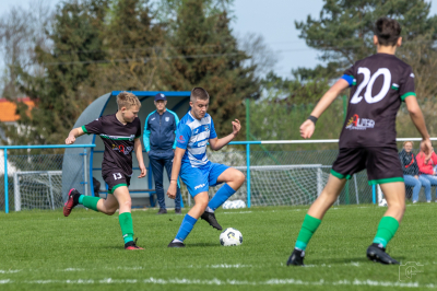 Trampkarze C1 - Steico Czarnków