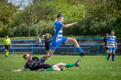 Trampkarze C1 - Steico Czarnków