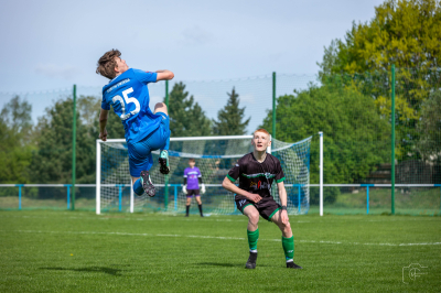 Trampkarze C1 - Steico Czarnków