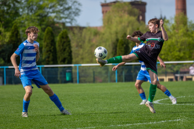 Trampkarze C1 - Steico Czarnków