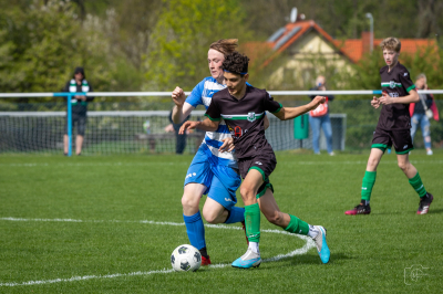 Trampkarze C1 - Steico Czarnków