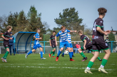 Trampkarze C1 - Steico Czarnków