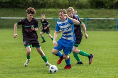 Trampkarze C1 - Steico Czarnków