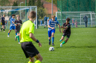 Trampkarze C1 - Steico Czarnków