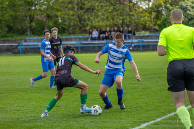 Trampkarze C1 - Steico Czarnków