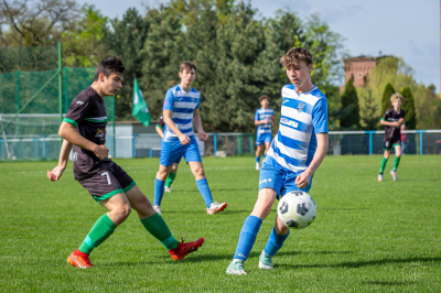 Trampkarze C1 - Steico Czarnków