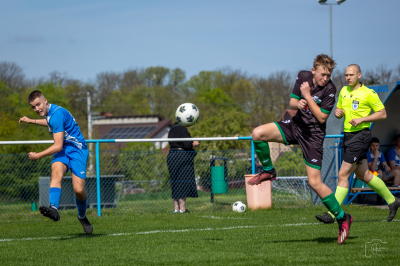 Trampkarze C1 - Steico Czarnków