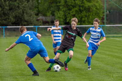 Trampkarze C1 - Steico Czarnków