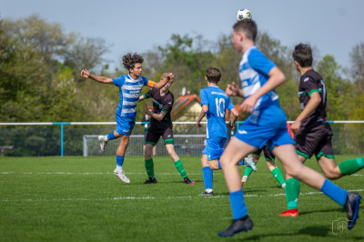 Trampkarze C1 - Steico Czarnków