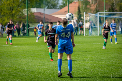 Trampkarze C1 - Steico Czarnków