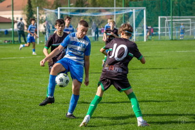 Trampkarze C1 - Steico Czarnków