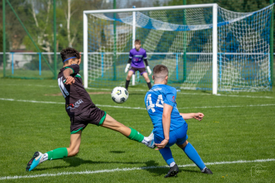 Trampkarze C1 - Steico Czarnków