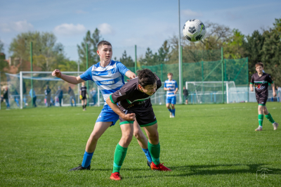 Trampkarze C1 - Steico Czarnków