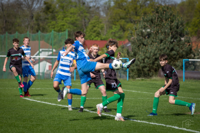 Trampkarze C1 - Steico Czarnków