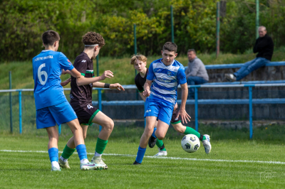 Trampkarze C1 - Steico Czarnków