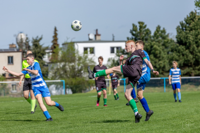 Trampkarze C1 - Steico Czarnków