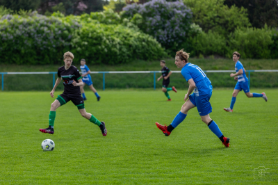 Trampkarze C1 - Steico Czarnków