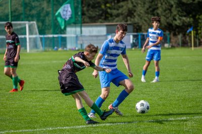 Trampkarze C1 - Steico Czarnków