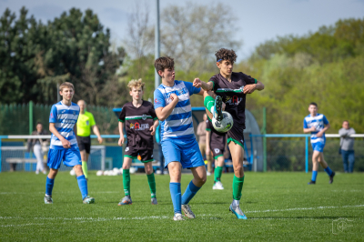 Trampkarze C1 - Steico Czarnków