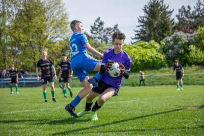 Trampkarze C1 - Steico Czarnków