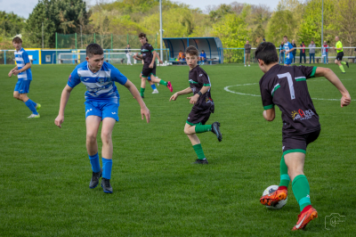 Trampkarze C1 - Steico Czarnków