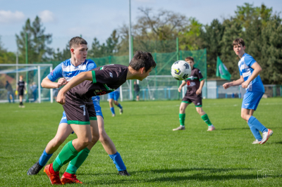 Trampkarze C1 - Steico Czarnków