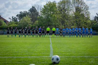 Trampkarze C1 - Steico Czarnków