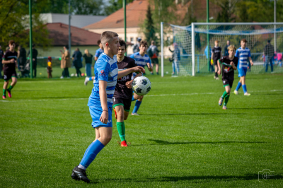 Trampkarze C1 - Steico Czarnków