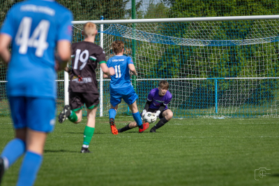 Trampkarze C1 - Steico Czarnków