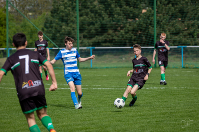 Trampkarze C1 - Steico Czarnków