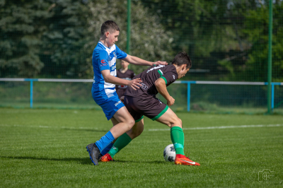 Trampkarze C1 - Steico Czarnków