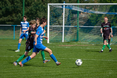 Trampkarze C1 - Steico Czarnków