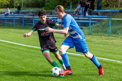 Trampkarze C1 - Steico Czarnków